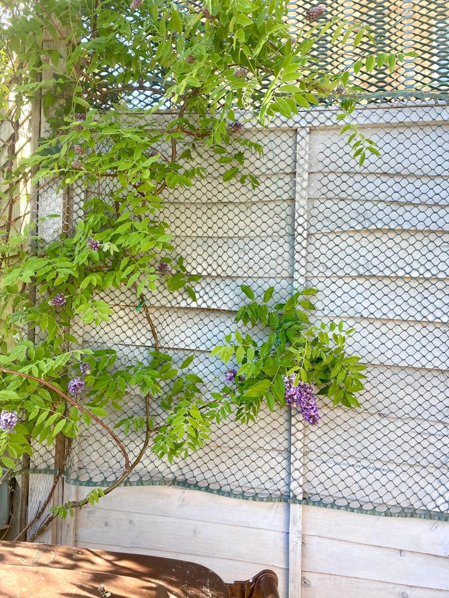 Appartamento Wisteria Place